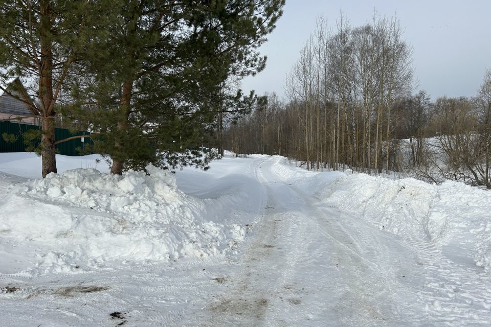 земля р-н Александровский деревня Бакино фото 2