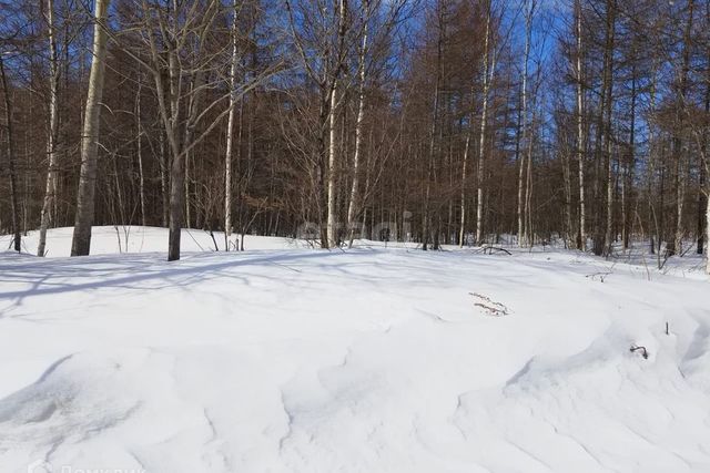 городской округ Южно-Сахалинск, СНТ Здоровье фото