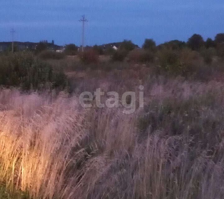 земля р-н Зеленоградский территория ТСН СНТ Клинцовка Вилладж фото 1