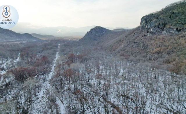 земля село Новицкое фото