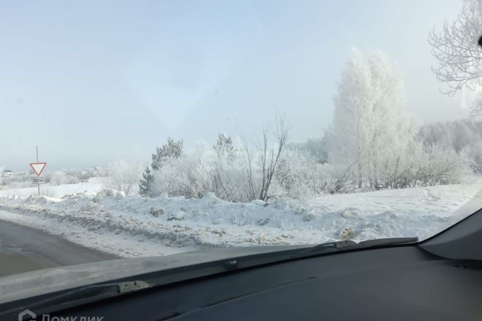 земля р-н Камышловский село Обуховское фото 4