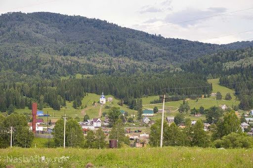 земля р-н Чойский село Чоя фото 2