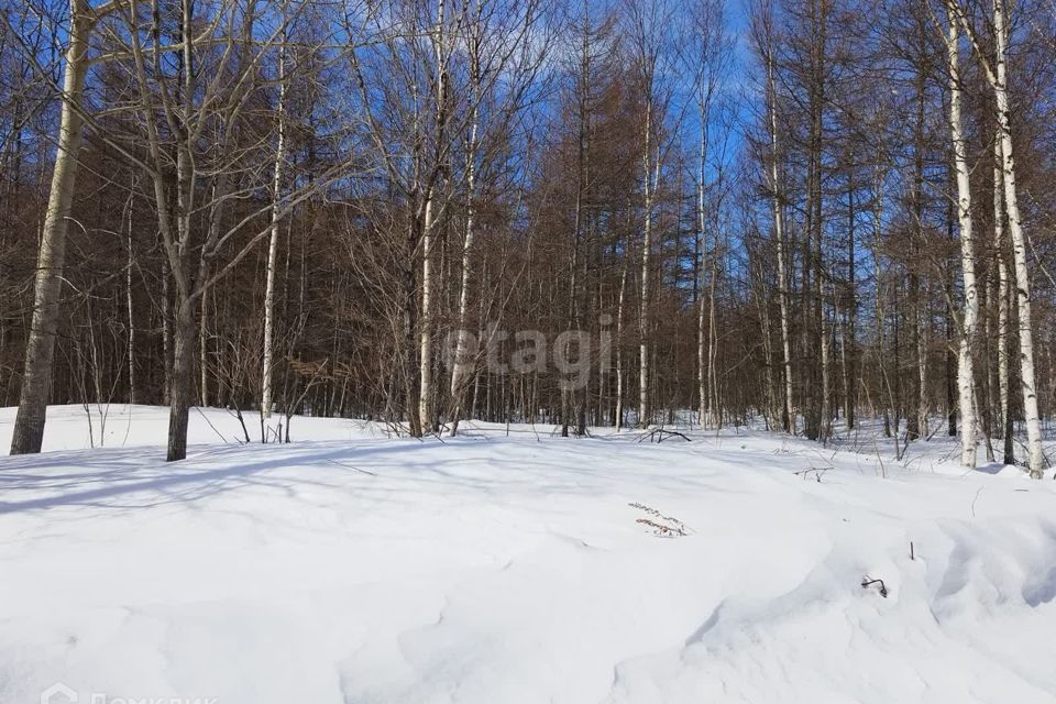 земля г Южно-Сахалинск городской округ Южно-Сахалинск, СНТ Здоровье фото 3