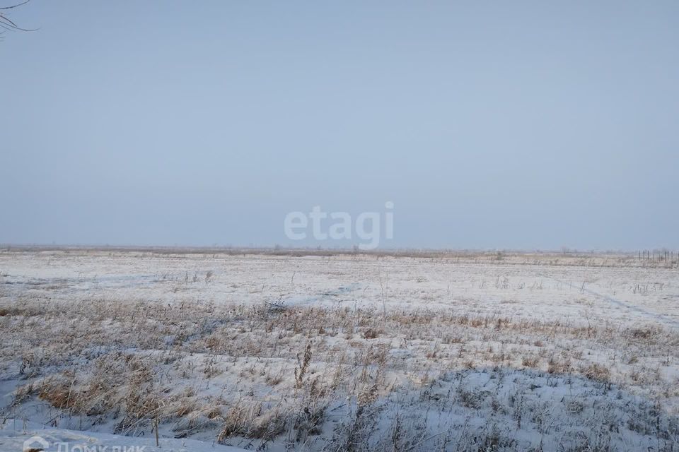 земля р-н Алтайский село Белый Яр фото 1