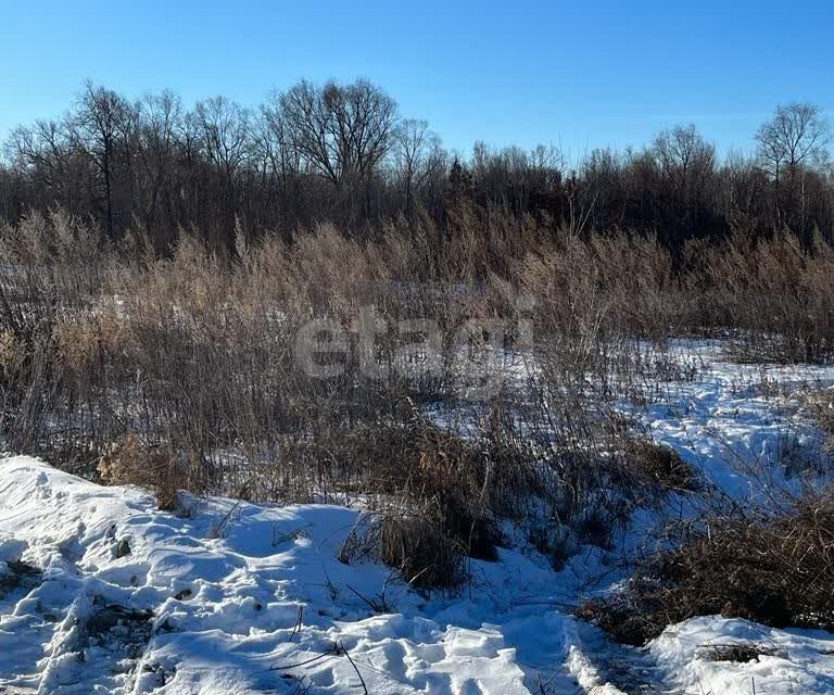 земля р-н Благовещенский село Ровное фото 1