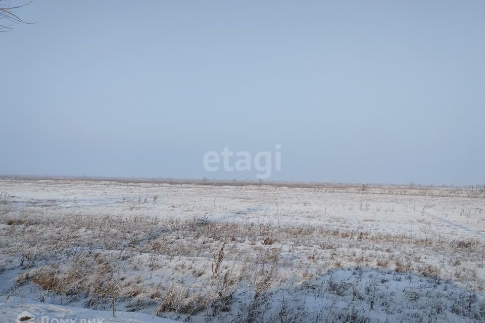 земля р-н Алтайский село Белый Яр фото 3