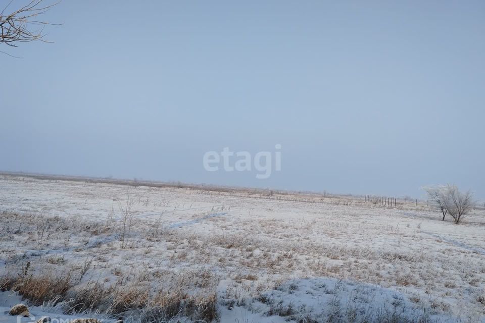 земля р-н Алтайский село Белый Яр фото 4