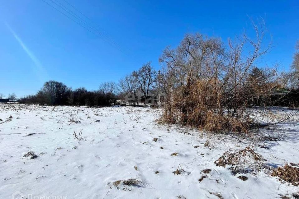 земля р-н Михайловский село Осиновка фото 3