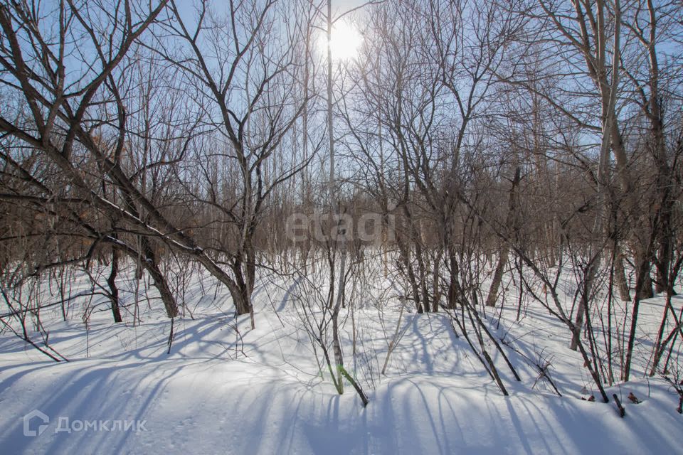 земля г Хабаровск Краснофлотский район, городской округ Хабаровск фото 3