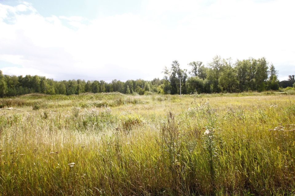 земля г Заводоуковск ул Гилевская роща Заводоуковский городской округ фото 1