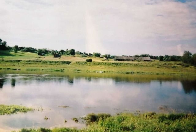 земля деревня Сасынье фото