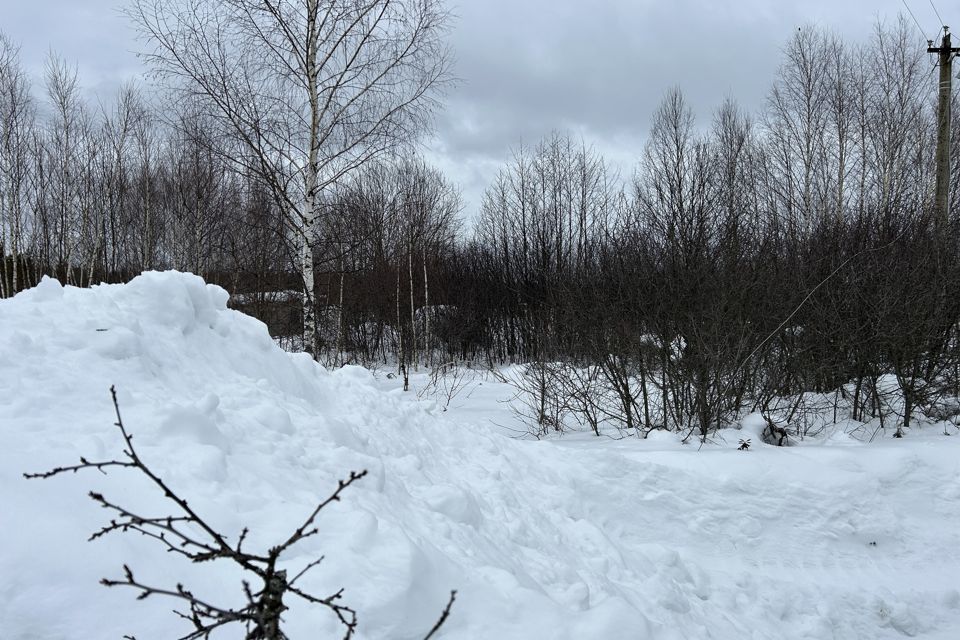 земля р-н Александровский СНТ Текстильщик фото 4