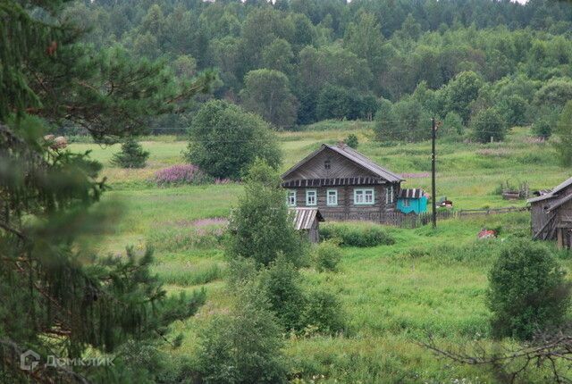 дом р-н Вашкинский деревня Давыдово фото 3