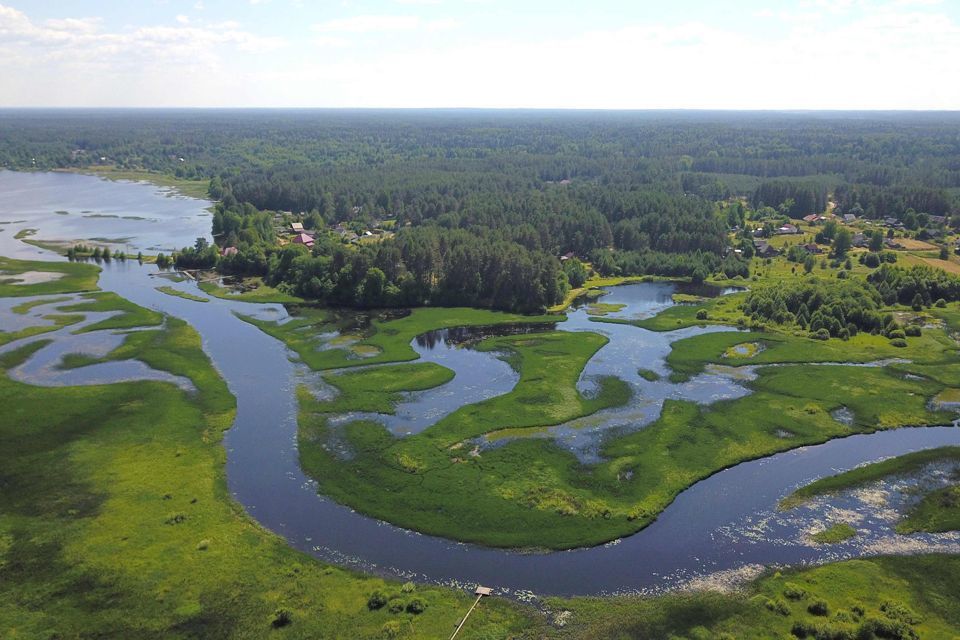 земля р-н Пеновский деревня Забелино фото 5