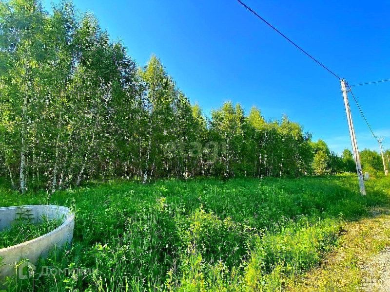 земля р-н Малоярославецкий дачный посёлок Земляничная поляна фото 6