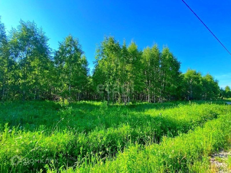 земля р-н Малоярославецкий дачный посёлок Земляничная поляна фото 7