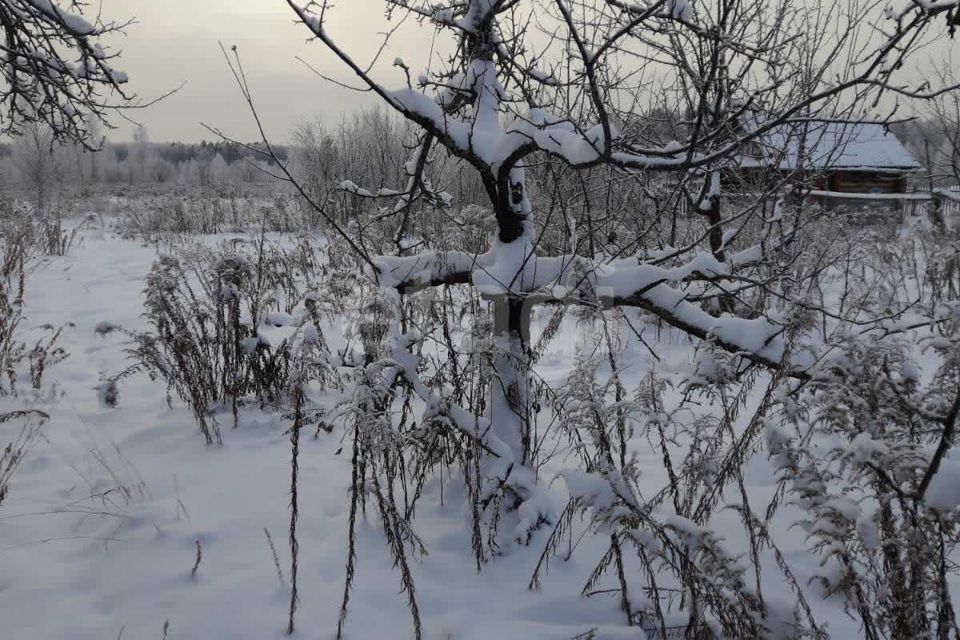 земля городской округ Бор, деревня Потемино фото 5