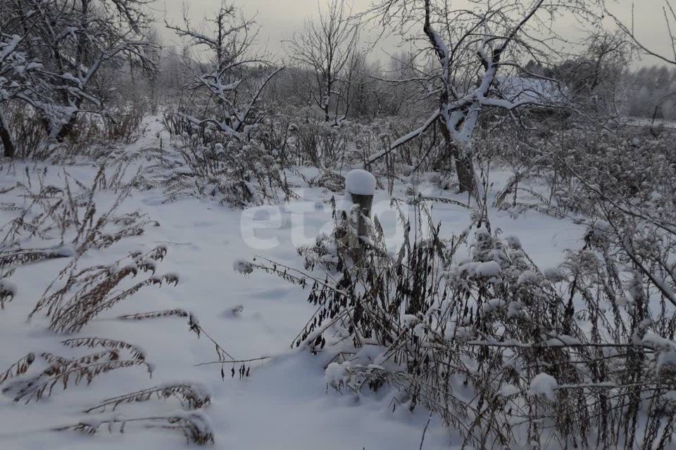 земля городской округ Бор, деревня Потемино фото 6