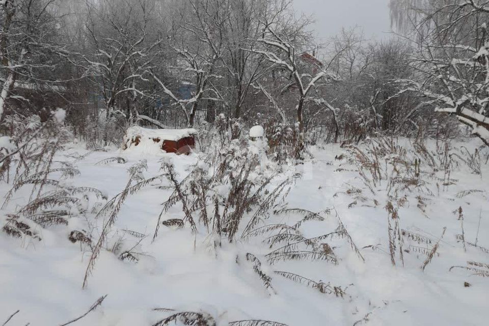 земля городской округ Бор, деревня Потемино фото 8