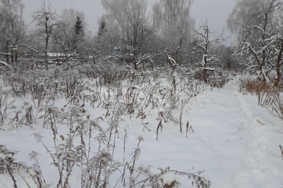 земля городской округ Бор, деревня Потемино фото 7