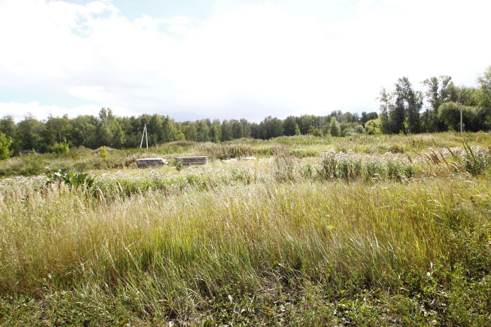 земля г Заводоуковск ул Гилевская роща Заводоуковский городской округ фото 5