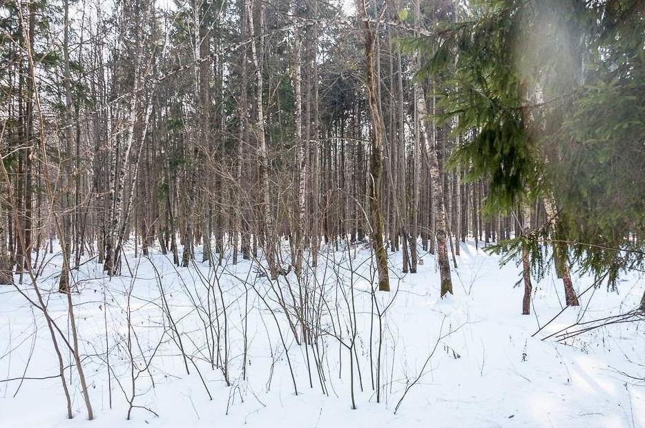 дом городской округ Ступино д Заворыкино снт Южное-1 Каширское шоссе, Ступино фото 6