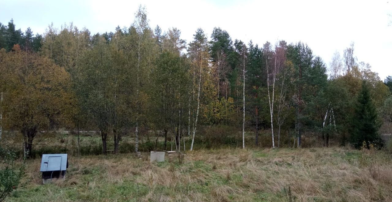 дом р-н Приозерский п Мельниково Мельниковское сельское поселение, Коммунары фото 16