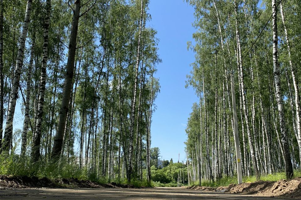 земля р-н Курский посёлок Касиновский фото 2