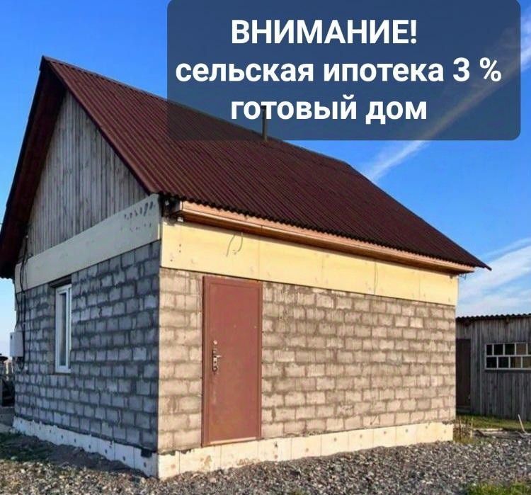 дом р-н Алтайский с Новомихайловка ул. Молодежная, 32 фото 1