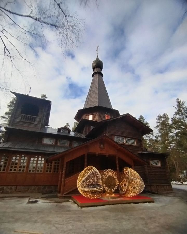 земля р-н Гатчинский п Вырица ул Вокзальная Вырицкое городское поселение, городской пос. Вырица фото 14