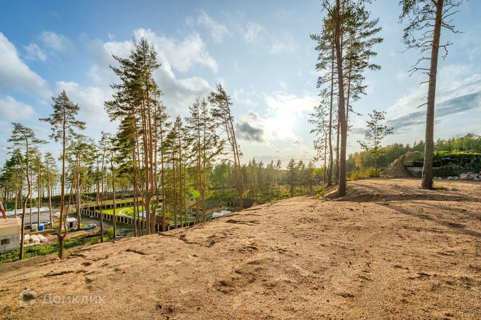 земля р-н Выборгский п Пески пр-д Корабельный фото 5