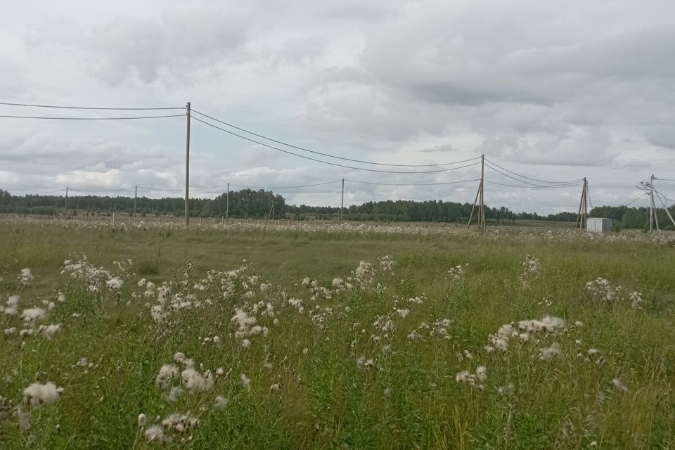 земля р-н Емельяновский с Частоостровское Малиновый переулок, 1 фото 8