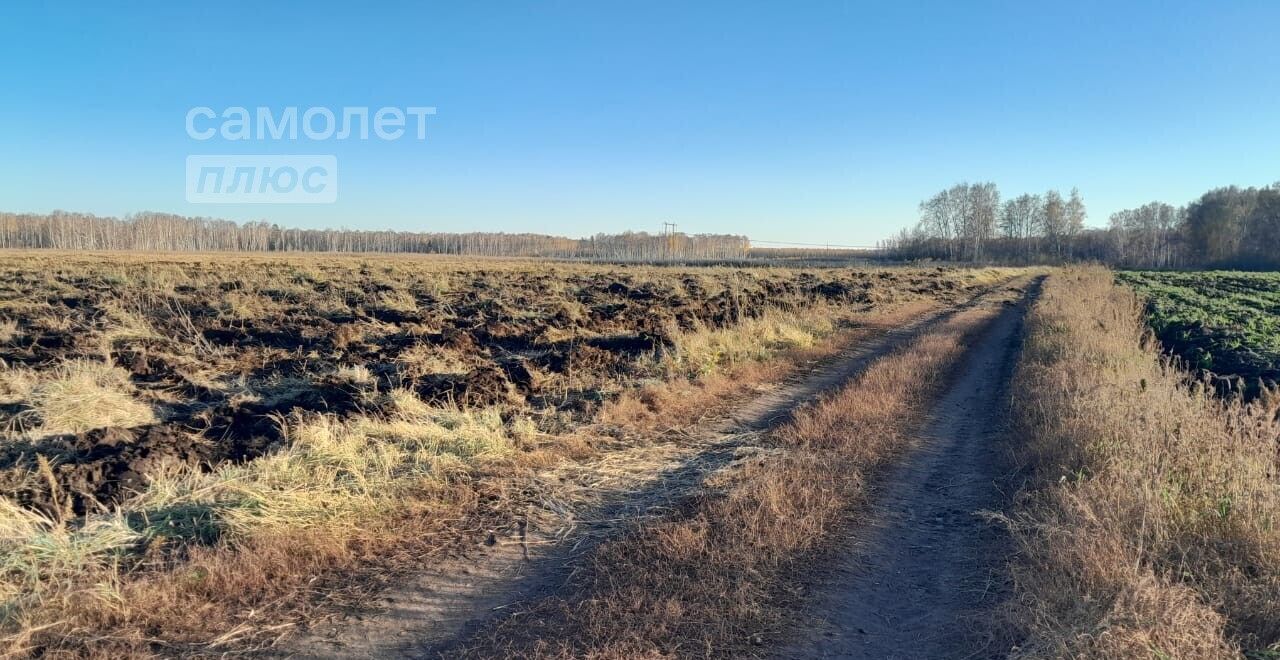 земля р-н Сосновский д Ключи Челябинск фото 1