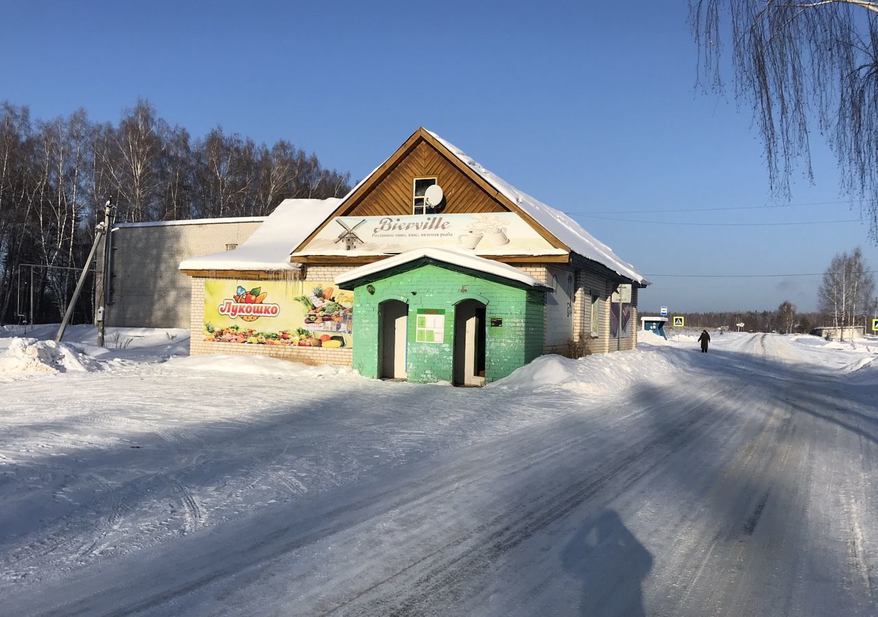 торговое помещение р-н Вачский с Федурино ул Центральная 24 Городецкий муниципальный округ, Чкаловск фото 1