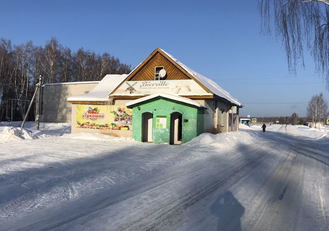 дом 24 Городецкий муниципальный округ, Чкаловск фото