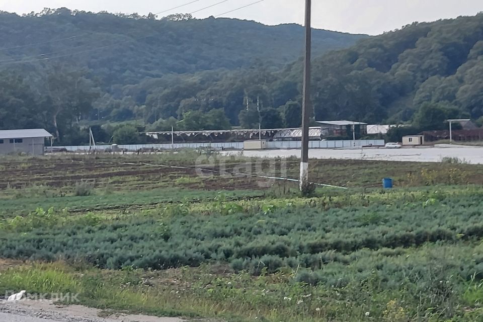 земля р-н Крымский станица Нижнебаканская фото 1