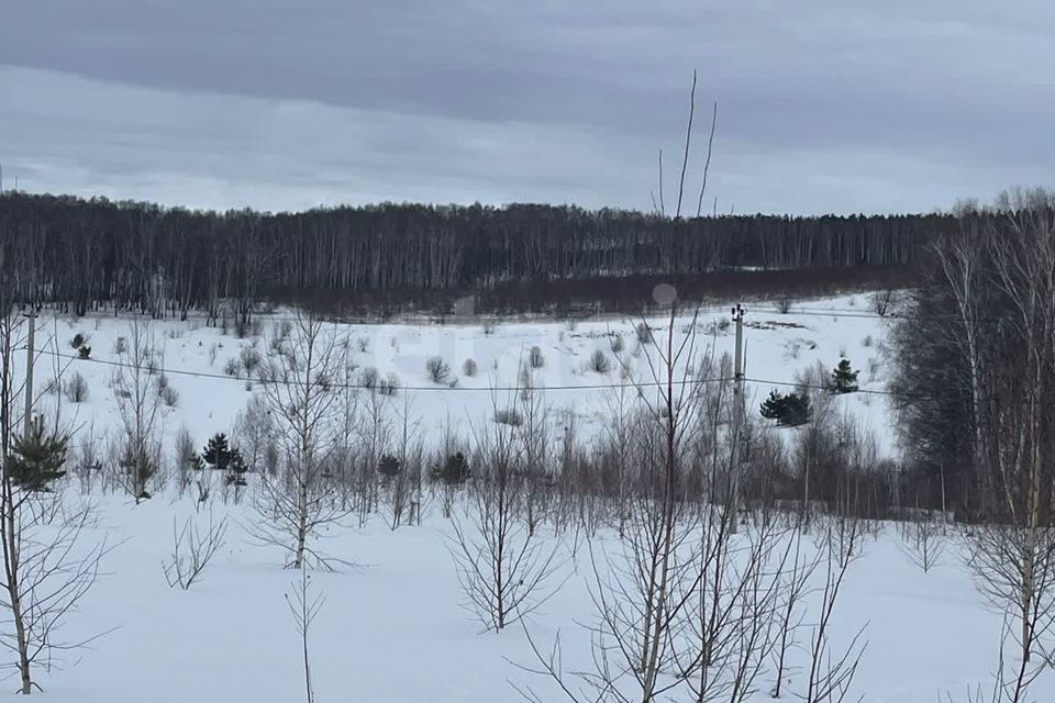 земля р-н Богородский д Швариха ул Молодежная 5 фото 5