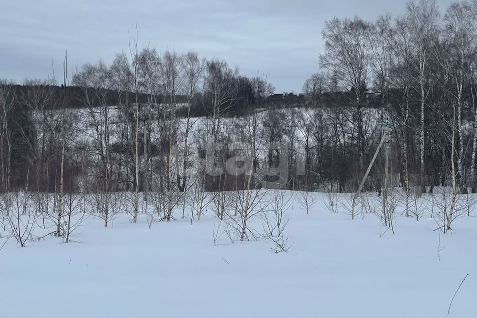 земля р-н Богородский д Швариха ул Молодежная 5 фото 6