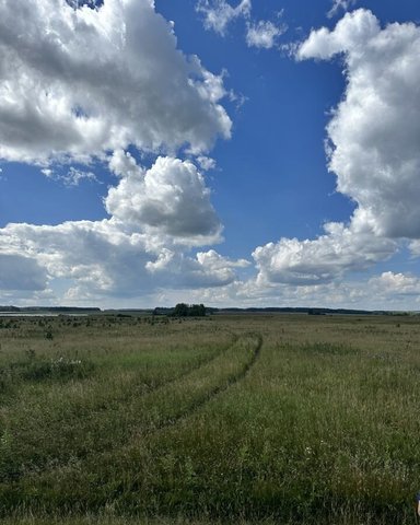 земля Сухобузимское фото