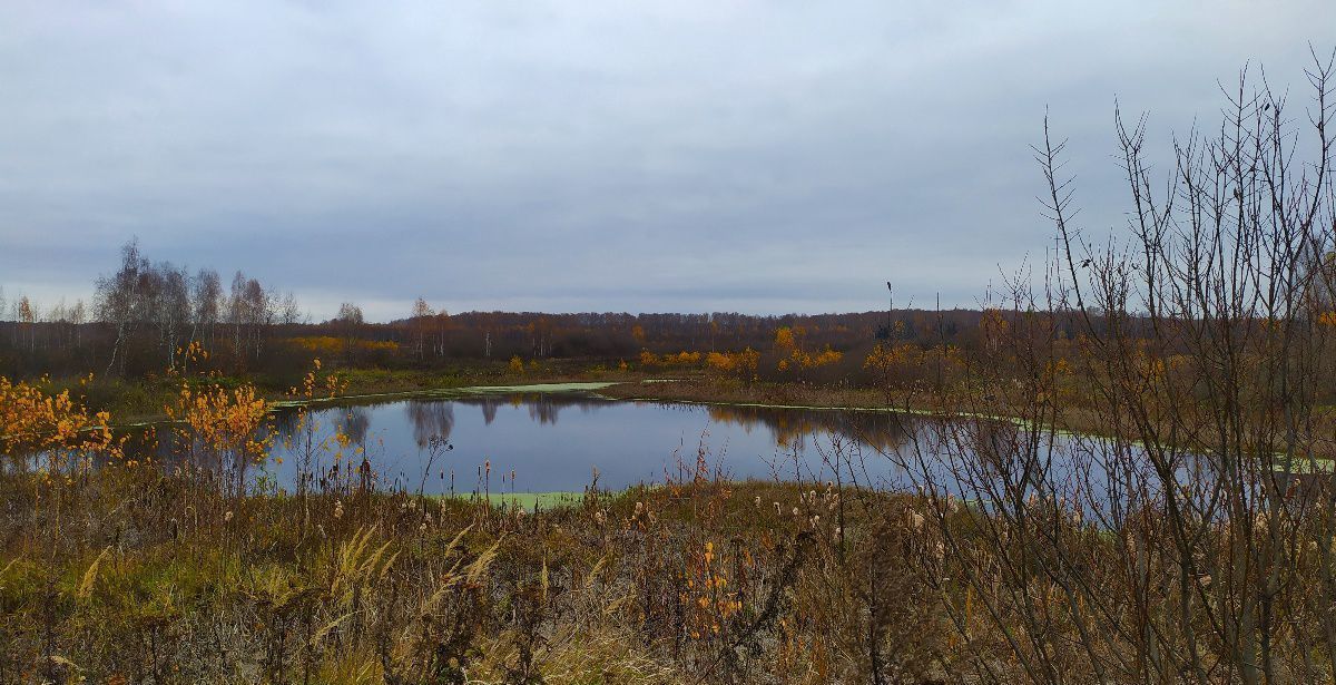 земля городской округ Ступино д Ольхово ул Раздольная Ступино фото 12