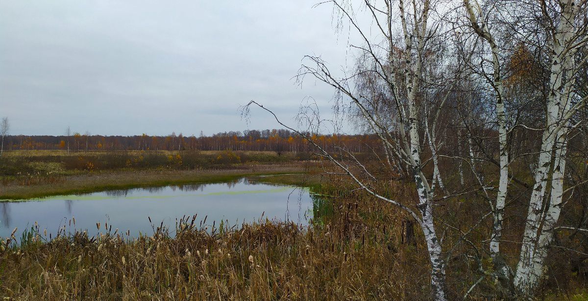 земля городской округ Ступино д Ольхово ул Раздольная Ступино фото 14