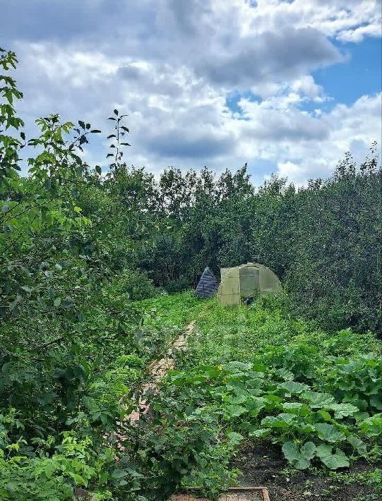 дом р-н Навашинский с Большое Окулово ул Комсомольская фото 18