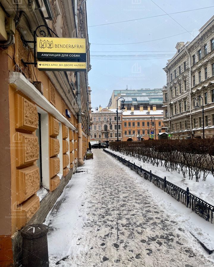 свободного назначения г Санкт-Петербург метро Маяковская ул Пушкинская 1/77 фото 12