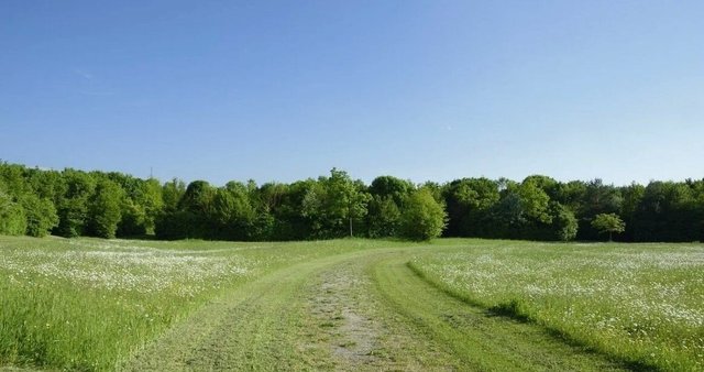 г. о. Серпухов, Оболенск, д. Акулово фото