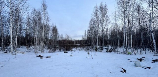 Уральская ул, Благовещенск фото