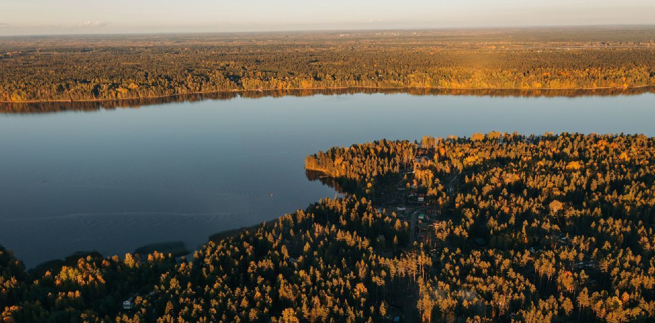 земля р-н Выборгский Приморское городское поселение, Сосновый пляж кп фото 3