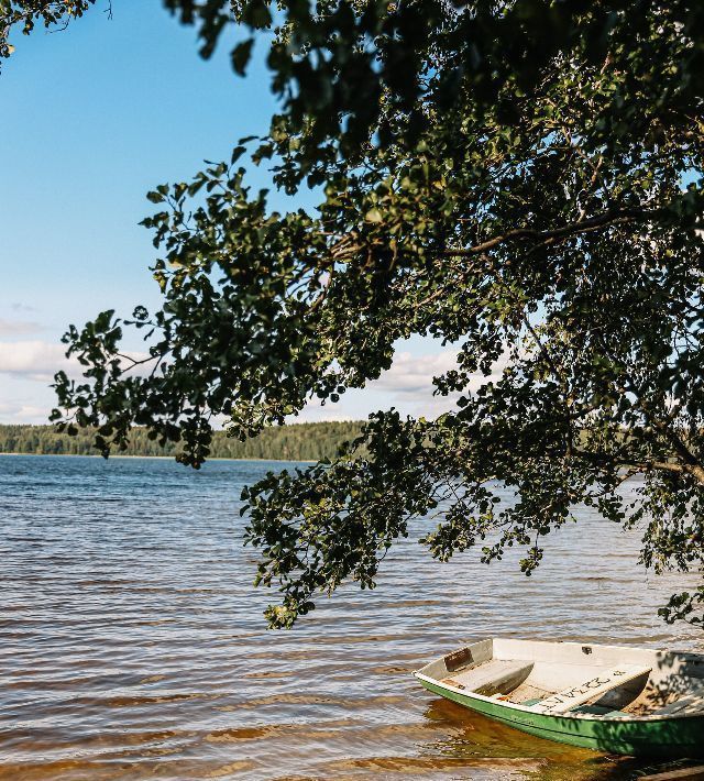 земля р-н Выборгский Приморское городское поселение, Сосновый пляж кп фото 6