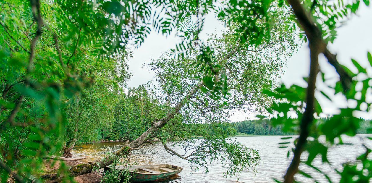 земля р-н Выборгский Приморское городское поселение, Сосновый пляж кп фото 16