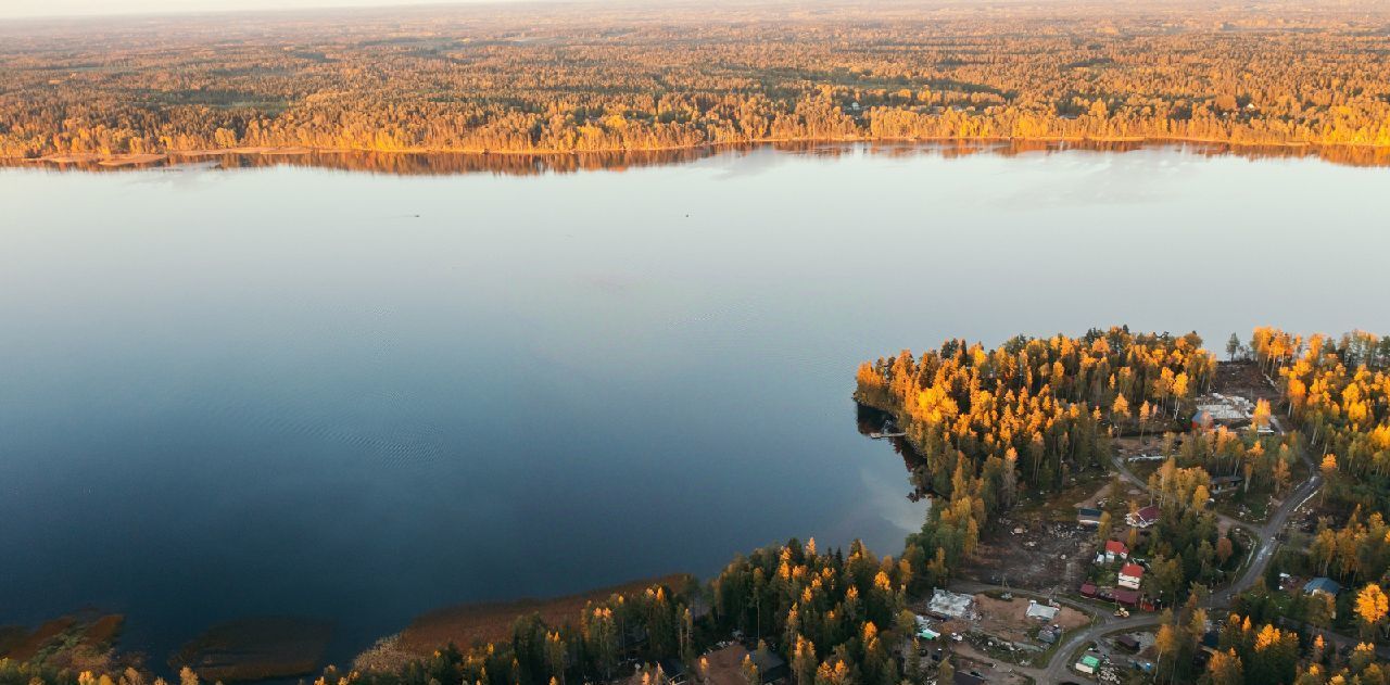 земля р-н Выборгский Приморское городское поселение, Сосновый пляж кп фото 18