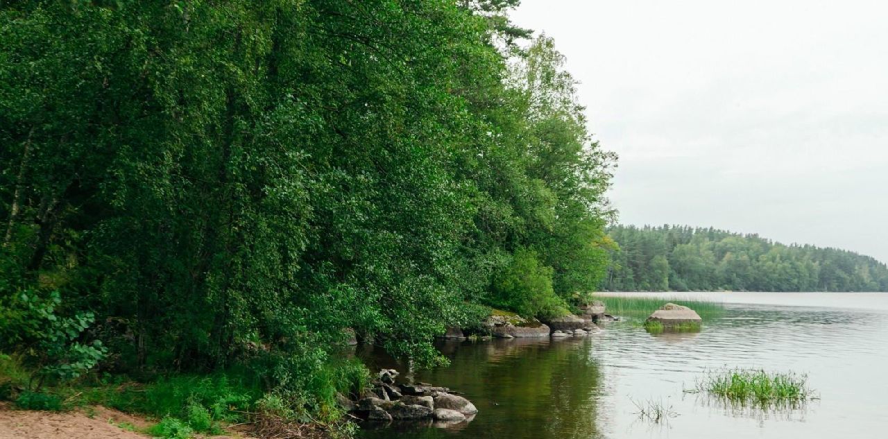 земля р-н Выборгский Приморское городское поселение, Сосновый пляж кп фото 26